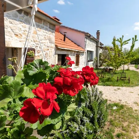 Family Friendly House With A Swimming Pool Bogatic, Krka - 17168